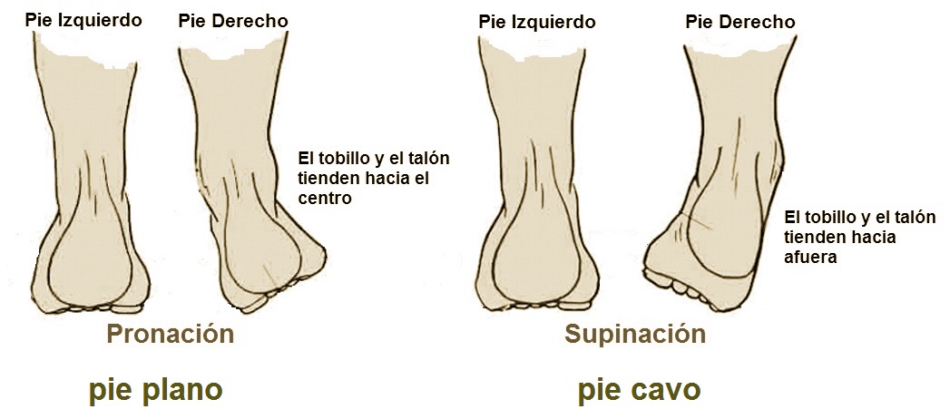 pronacion y supinación - Fernanda Millions Dutra- Ejercicios Pilates para pies - Pilates Sant Celoni
